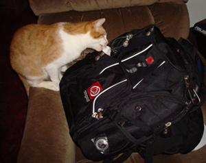 Backpack survives cat.